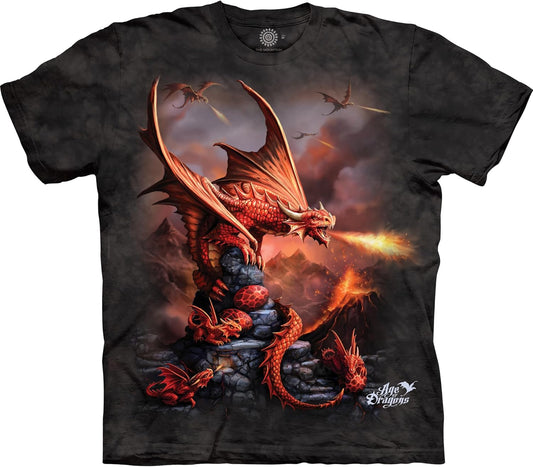 Men'S Fire Dragon Tee